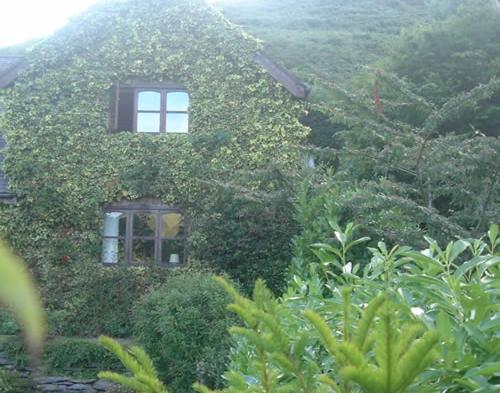 Horseshoe Pass Holiday Lets لانغولين الغرفة الصورة